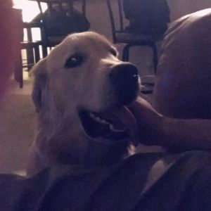 Meet your Posher, Sandy